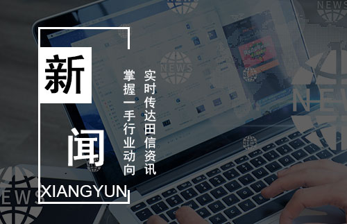 扬州网络公司