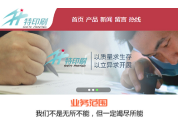网站优化