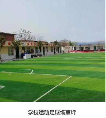 企业网站建设