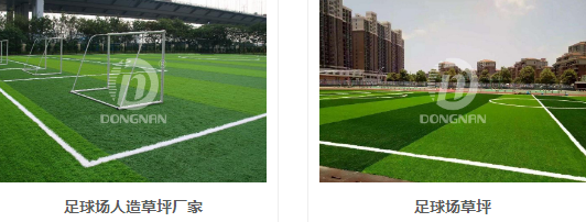 网站建设